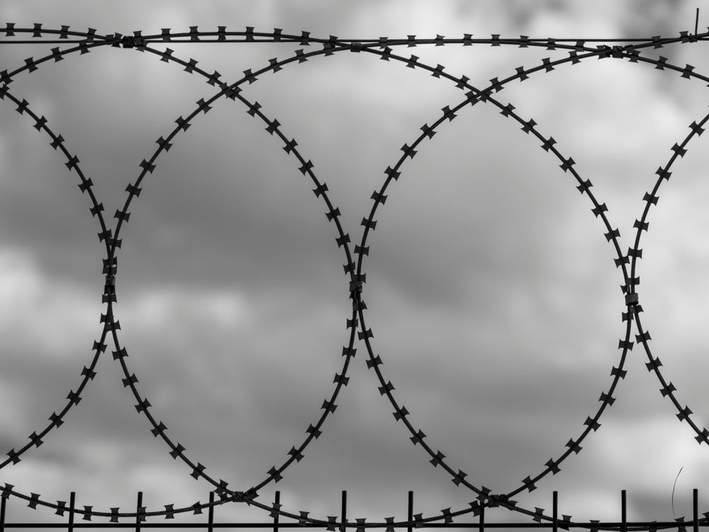 A monochrome photograph showcasing a barbed wire fence, highlighting its sharp edges and the contrast of light and shadow.